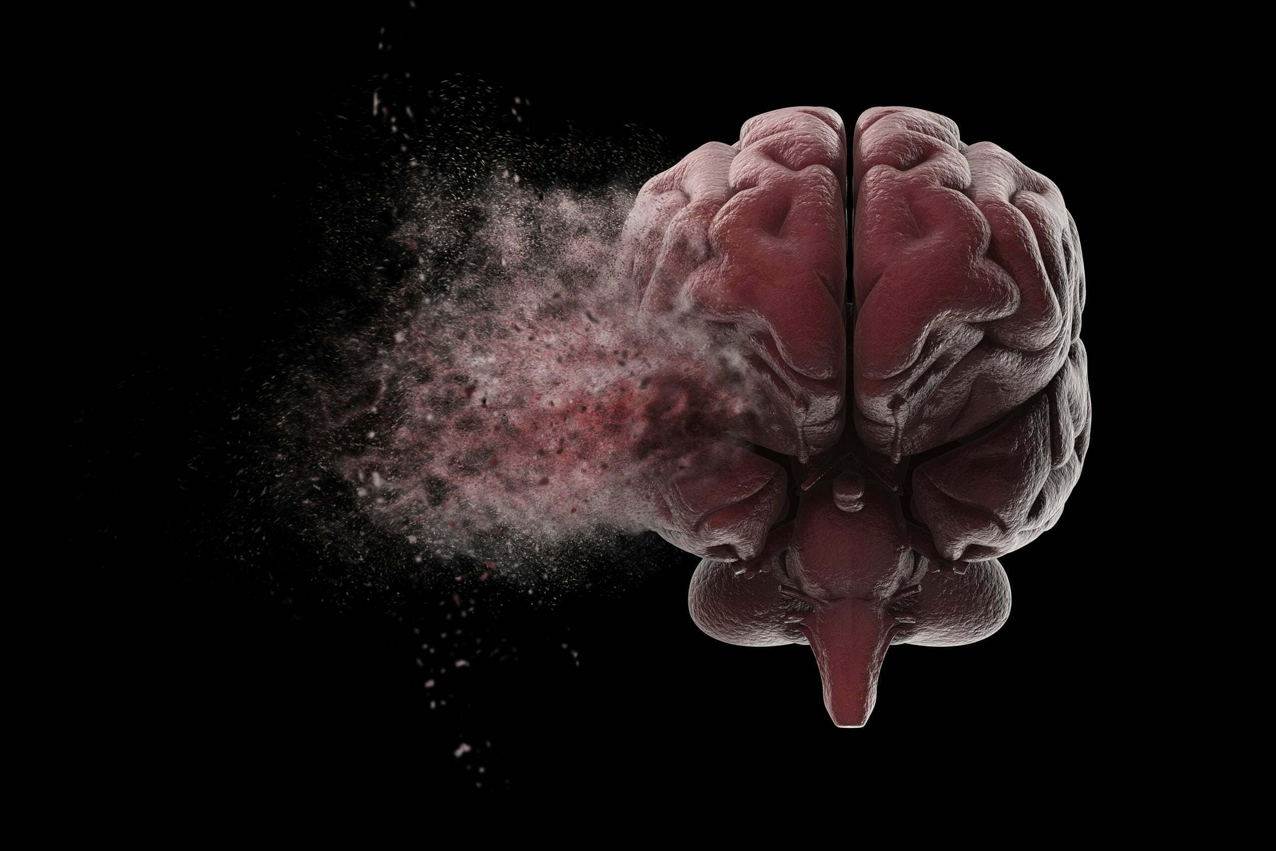 brain